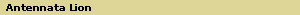 Antennata Lion