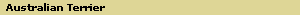 Australian Terrier