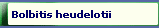 Bolbitis heudelotii 