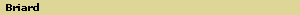 Briard