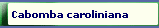 Cabomba caroliniana