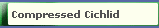 Compressed Cichlid