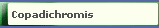 Copadichromis
