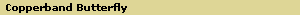 Copperband Butterfly