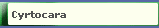 Cyrtocara