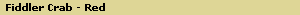 Fiddler Crab - Red