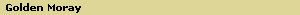 Golden Moray