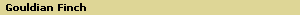 Gouldian Finch