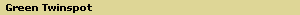 Green Twinspot