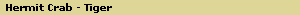 Hermit Crab - Tiger