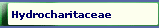Hydrocharitaceae