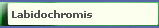Labidochromis