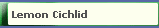 Lemon Cichlid