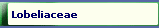 Lobeliaceae
