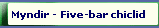 Myndir - Five-bar chiclid