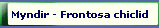 Myndir - Frontosa chiclid