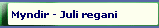 Myndir - Juli regani