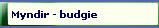Myndir - budgie