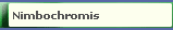Nimbochromis