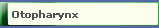 Otopharynx