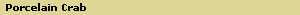 Porcelain Crab
