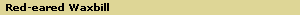 Red-eared Waxbill