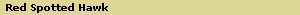 Red Spotted Hawk