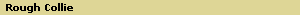 Rough Collie