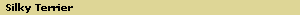 Silky Terrier