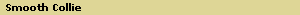Smooth Collie