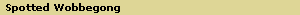 Spotted Wobbegong