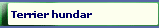 Terrier hundar