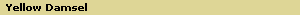 Yellow Damsel