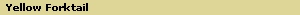 Yellow Forktail