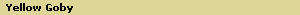 Yellow Goby