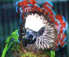HAWKHEAD_WEB02