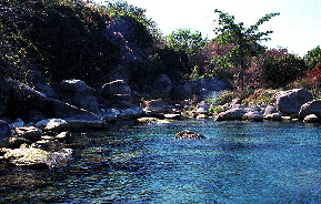 Perlmutt �Ngkuyo�1