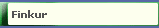 Finkur