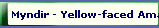 Myndir - Yellow-faced Amazon