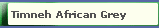 Timneh African Grey
